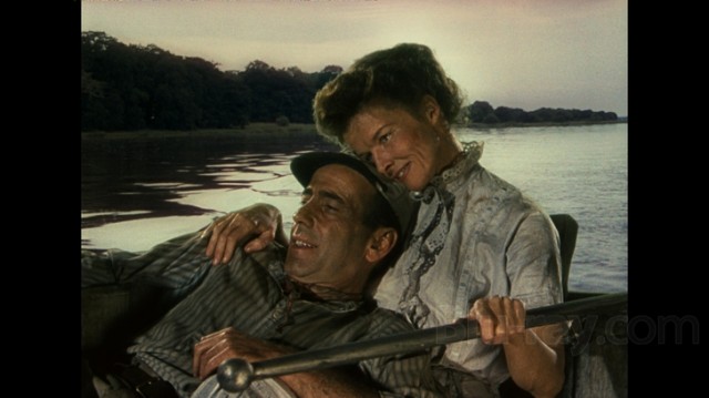 Afrika Kraliçesi Fotoğrafı