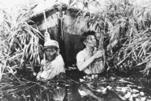 Afrika Kraliçesi Fotoğrafı