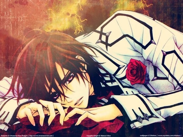 Vampire Knight fotoğrafı