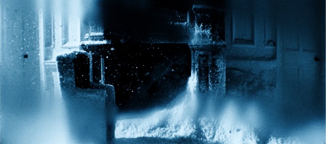 Metamorphosis fotoğrafı