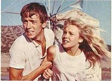 The Moon-Spinners Fotoğrafı