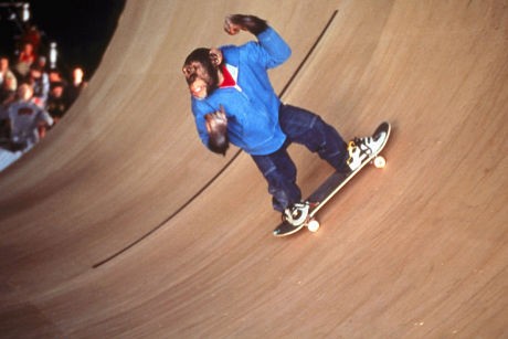 Maymun Jack 2 Fotoğrafı