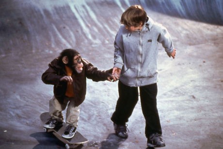 Maymun Jack 2 fotoğrafı