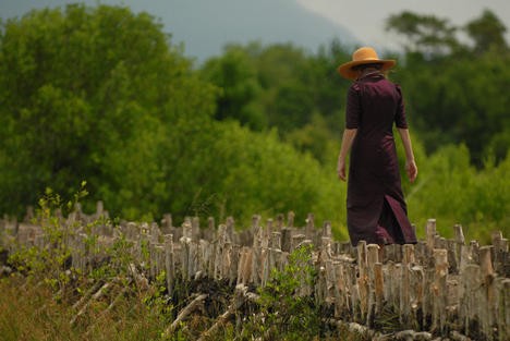The Sea Wall Fotoğrafı