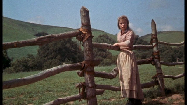 Old Yeller Fotoğrafı