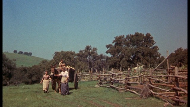 Old Yeller Fotoğrafı