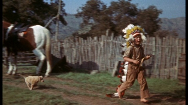 Old Yeller Fotoğrafı