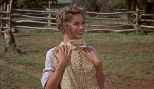 Old Yeller fotoğrafı