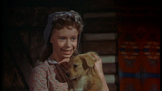 Old Yeller Fotoğrafı