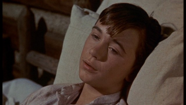 Old Yeller Fotoğrafı