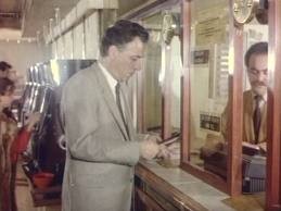 Sevimli Hırsız Fotoğrafı