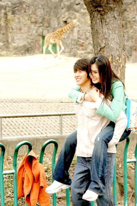 Yeşil Gül Fotoğrafı