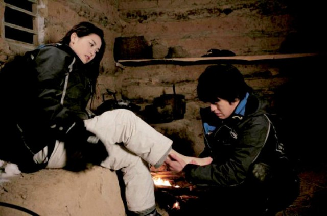 Yeşil Gül Fotoğrafı