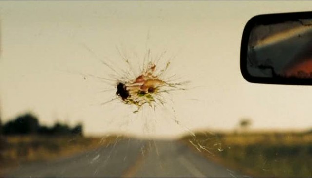 Otostopçu Fotoğrafı