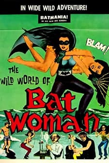 The Wild World of Batwoman (1966) afişi