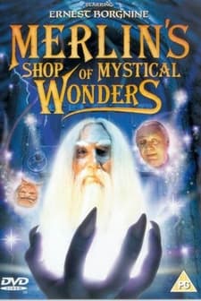 Merlin's Shop of Mystical Wonders (1996) afişi