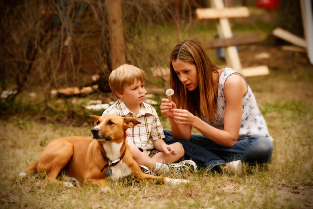 Like Dandelion Dust Fotoğrafı