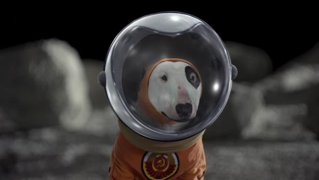 Uzay Patileri fotoğrafı