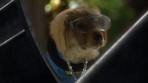 Uzay Patileri fotoğrafı