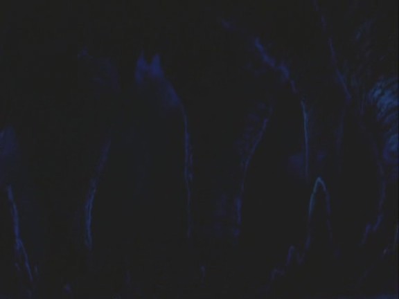 Pokemon 6: Jirachi - Wish Maker Fotoğrafı