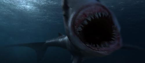 Deniz Çocuğu Fotoğrafı