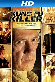Kung Fu Killer (2008) afişi