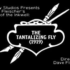 The Tantalizing Fly (1919) afişi