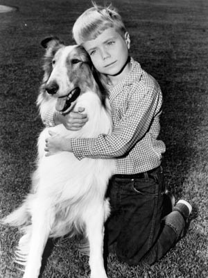 Lassie fotoğrafı