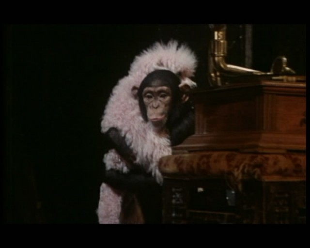 Clair de femme fotoğrafı