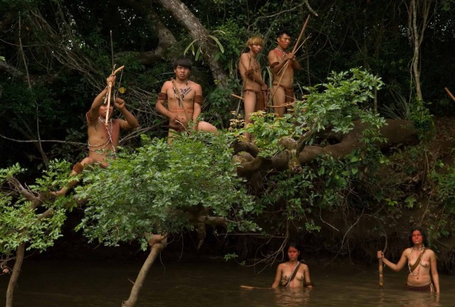Birdwatchers Fotoğrafı