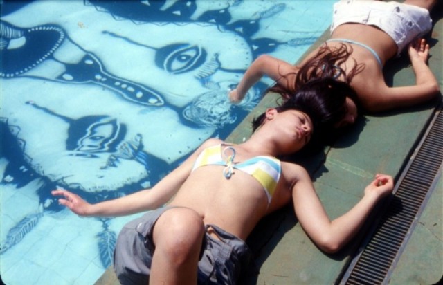 Birdwatchers fotoğrafı