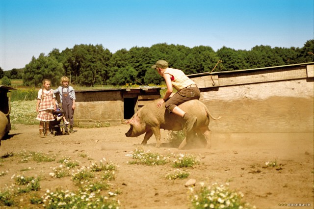 Hands off Mississippi Fotoğrafı