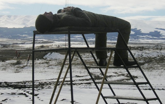 Born and Bred fotoğrafı