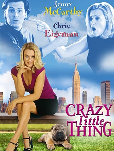 The Perfect You (2002) afişi