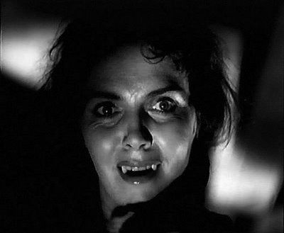 The White Reindeer fotoğrafı