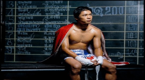 Beautiful Boxer fotoğrafı