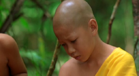 Beautiful Boxer fotoğrafı