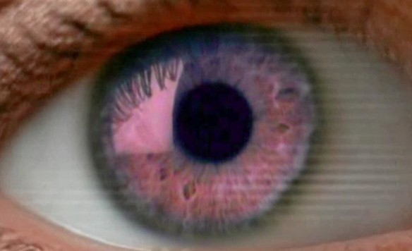 Zeitgeist: Addendum Fotoğrafı