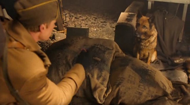 Rin Tin Tin fotoğrafı