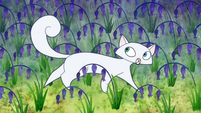 Büyülü Kitap fotoğrafı