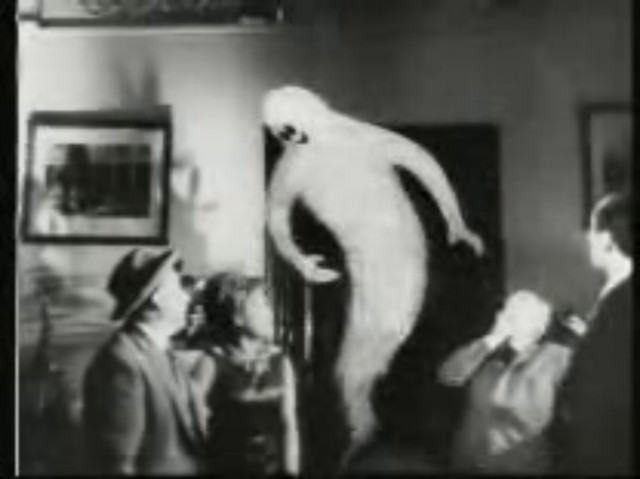 Cici Can fotoğrafı