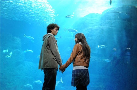 İlk Aşkımı Sana Veriyorum Fotoğrafı