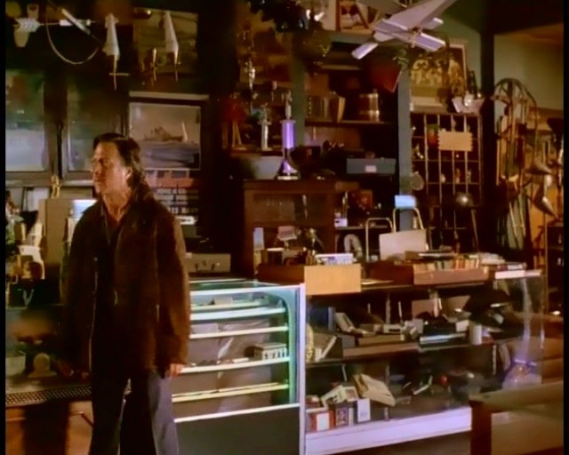 Amerikan Sığırı Fotoğrafı