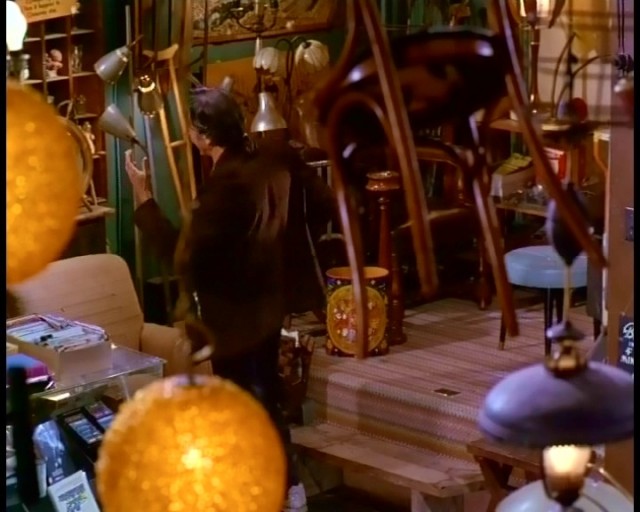 Amerikan Sığırı Fotoğrafı