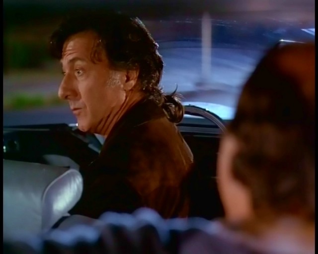 Amerikan Sığırı Fotoğrafı