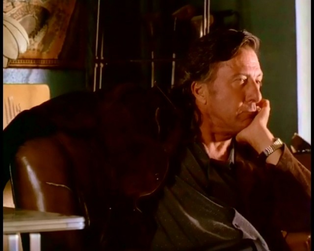 Amerikan Sığırı Fotoğrafı