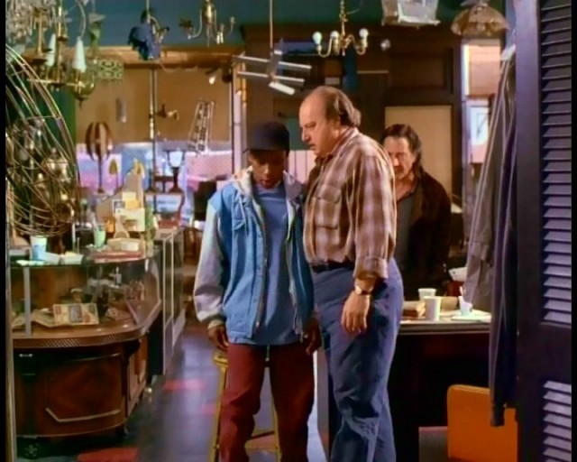 Amerikan Sığırı Fotoğrafı