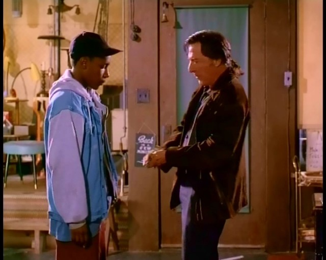 Amerikan Sığırı Fotoğrafı