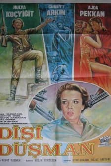 Dişi Düşman (1966) afişi