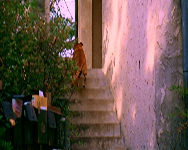 Bir Dalavere Öyküsü Fotoğrafı